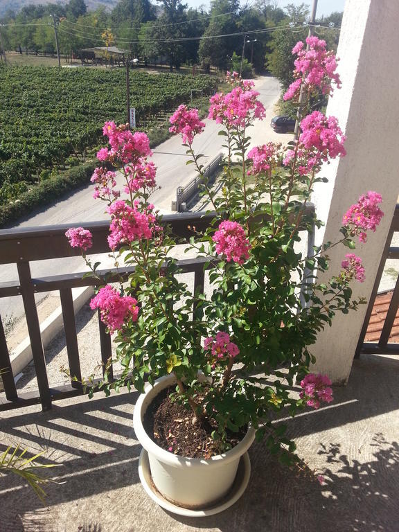 Guest House Robi Međugorje Exteriér fotografie
